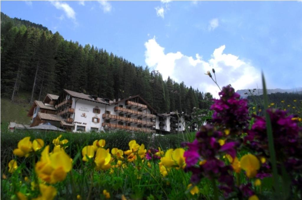 Hotel Scoiattolo Тезеро Экстерьер фото